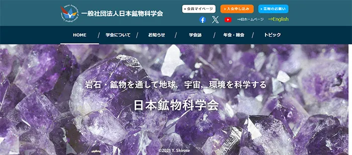 No.027 一般社団法人日本鉱物科学会 公式WEBサイト分析レポート - あやふやなきのこ | WEBサイト100選
